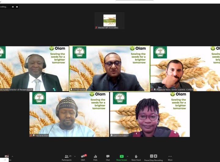 Olam Wheat Seed Trial Launch