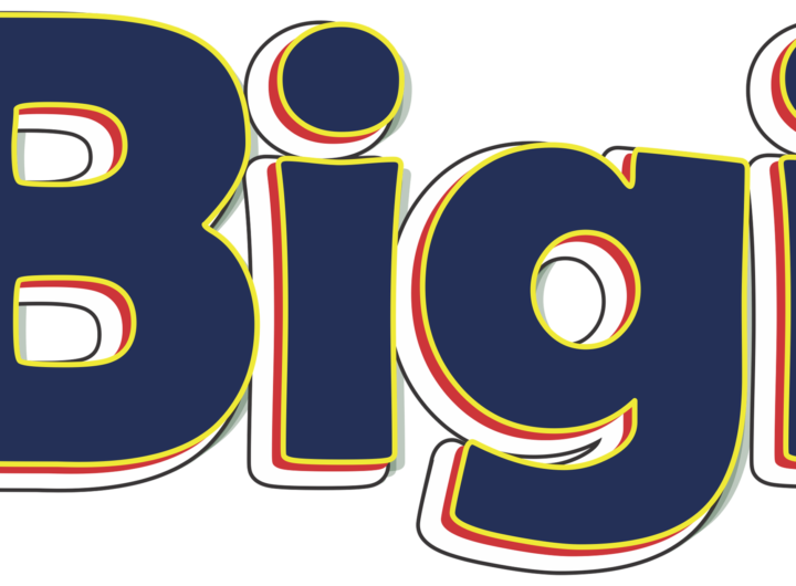 Bigi Csd Logo